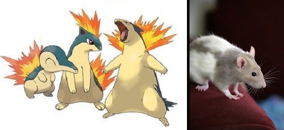 Por que os Pokémon iniciais são sempre dos tipos grama, fogo e água?